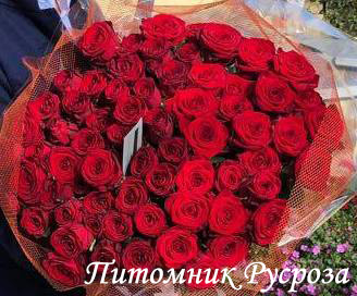 ANDRE RIEU