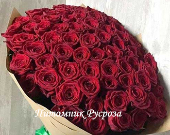 СЕРДЦЕ ДАНКО