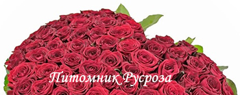 СЕРДЦЕ ДАНКО