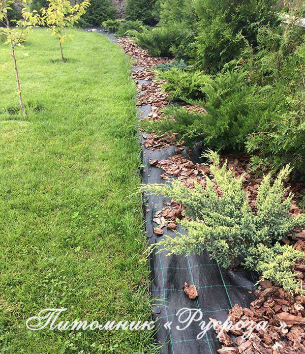 Мульчирующий синтетический материал (4.2м х 5м)