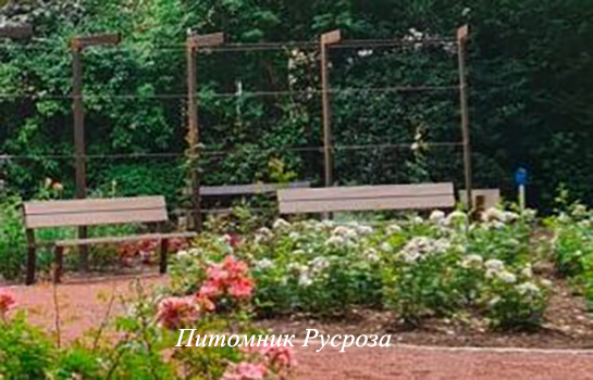 STAND SPEAK RISE UP (VISPERPUR)