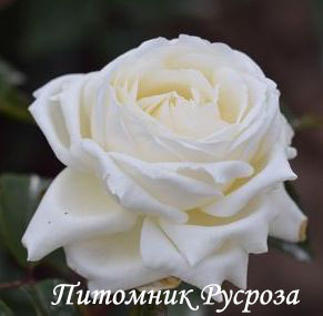 BOEING