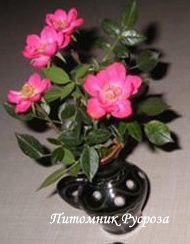 МАЛЬЧИК С ПАЛЬЧИК