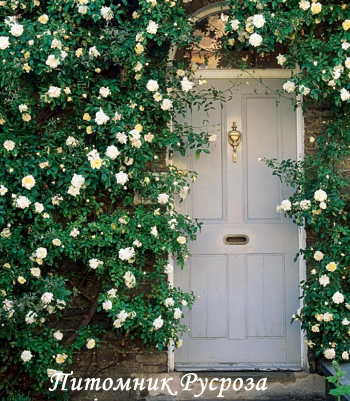 ALBERIC BARBIER ШТ 140