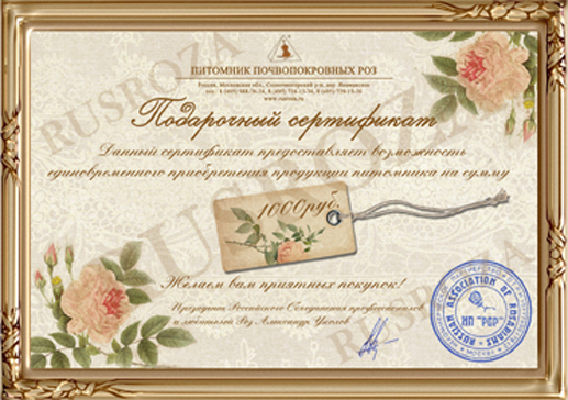 Подарочный сертификат на 1 000 рублей