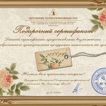 Подарочный сертификат на 2 000 рублей
