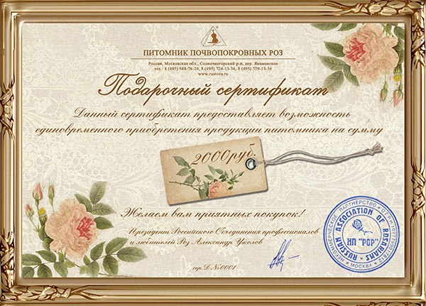 Подарочный сертификат на 2 000 рублей