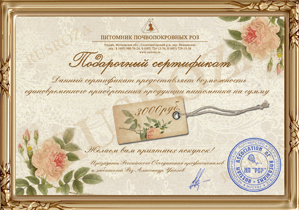 Подарочный сертификат на 3 000 рублей