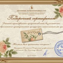 Подарочный сертификат на 5 000 рублей