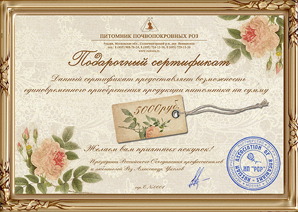 Подарочный сертификат на 5 000 рублей