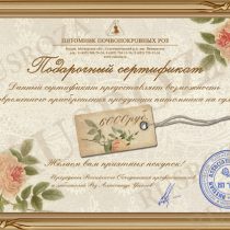 Подарочный сертификат на 6 000 рублей