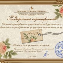 Подарочный сертификат на 7 000 рублей