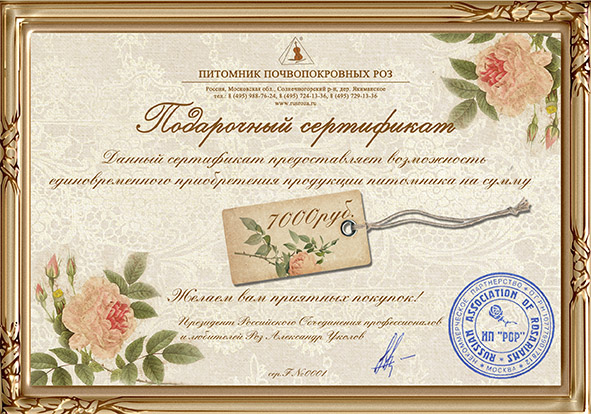 Подарочный сертификат на 7 000 рублей
