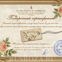 Подарочный сертификат на 8 000 рублей