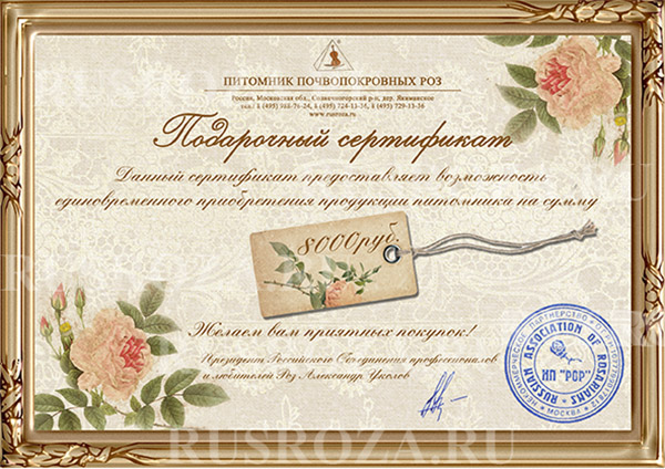 Подарочный сертификат на 8 000 рублей