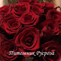 ПОЛЬ РОБСОН