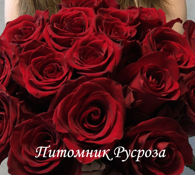 ПОЛЬ РОБСОН