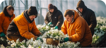 Зимнее укрытие