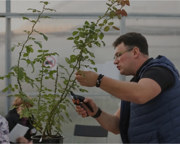 МАСТЕР-КЛАСС